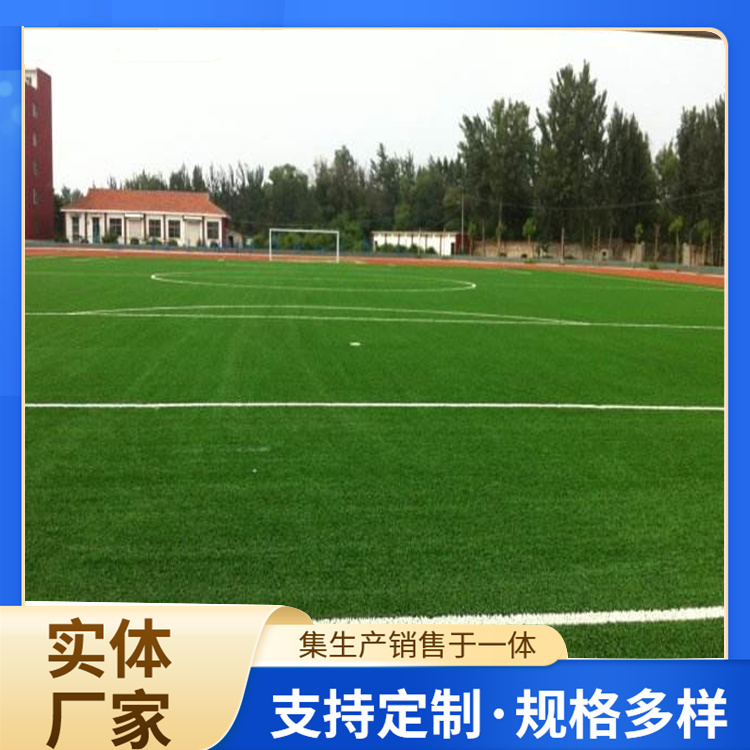 梅州市学校塑胶跑道人造草坪 - 排名
